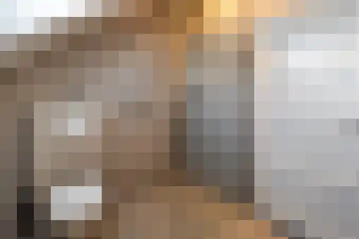 Schoolstraat 4 Huizen thumbnail 36