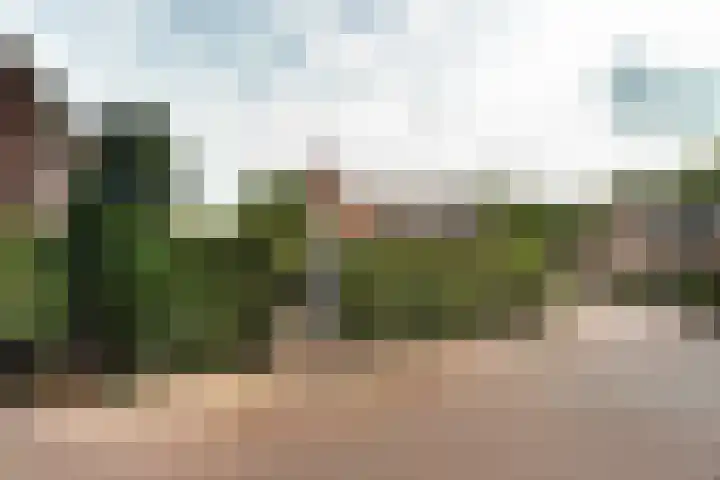 Schoolstraat 4 Huizen thumbnail 39