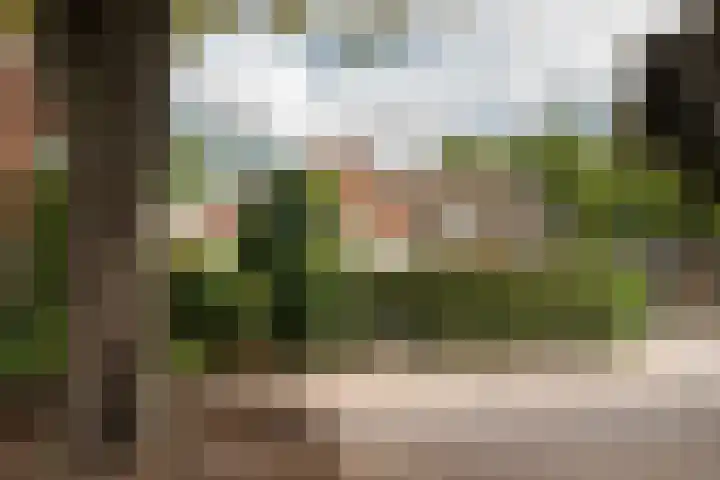 Schoolstraat 4 Huizen thumbnail 43