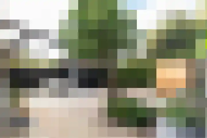 Schoolstraat 4 Huizen thumbnail 8