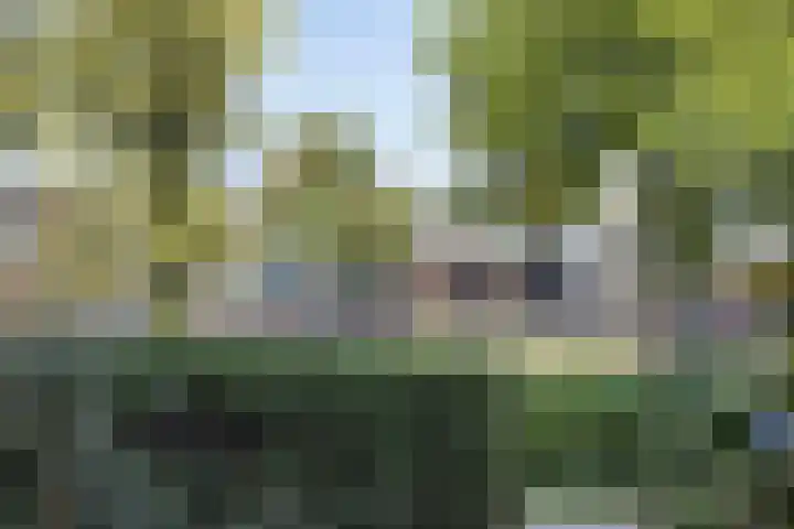 Schoolstraat 44 Den Bommel thumbnail 29