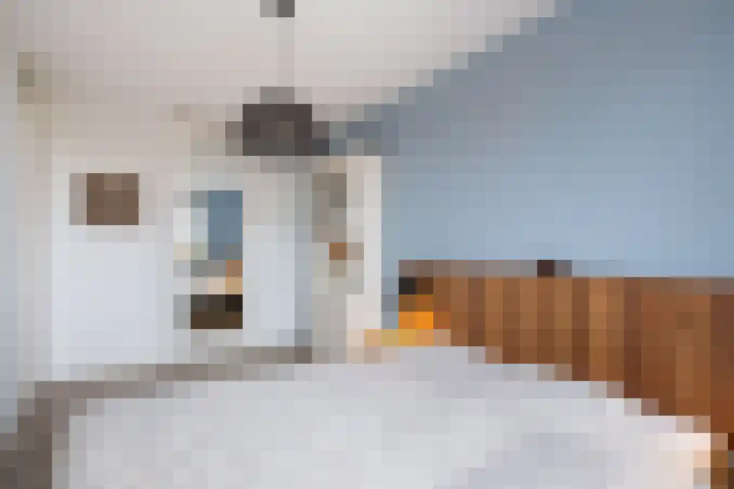 Schoolstraat 44 Ederveen thumbnail 27