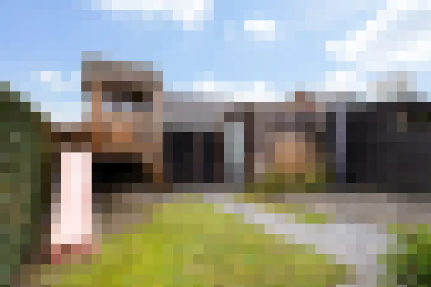 Schoolstraat 44 Ederveen thumbnail 42