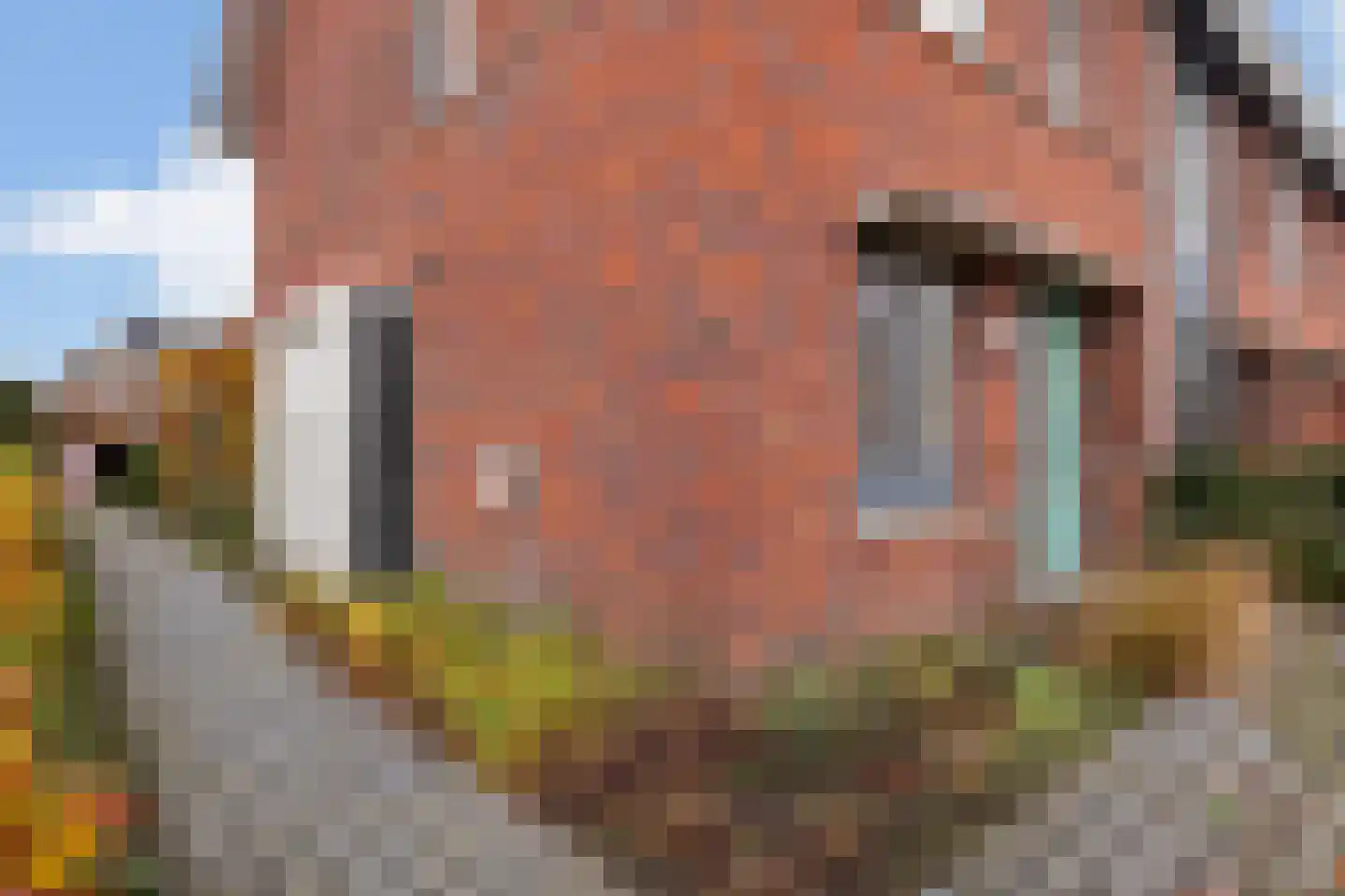 Schoolstraat 44 Ederveen thumbnail 43