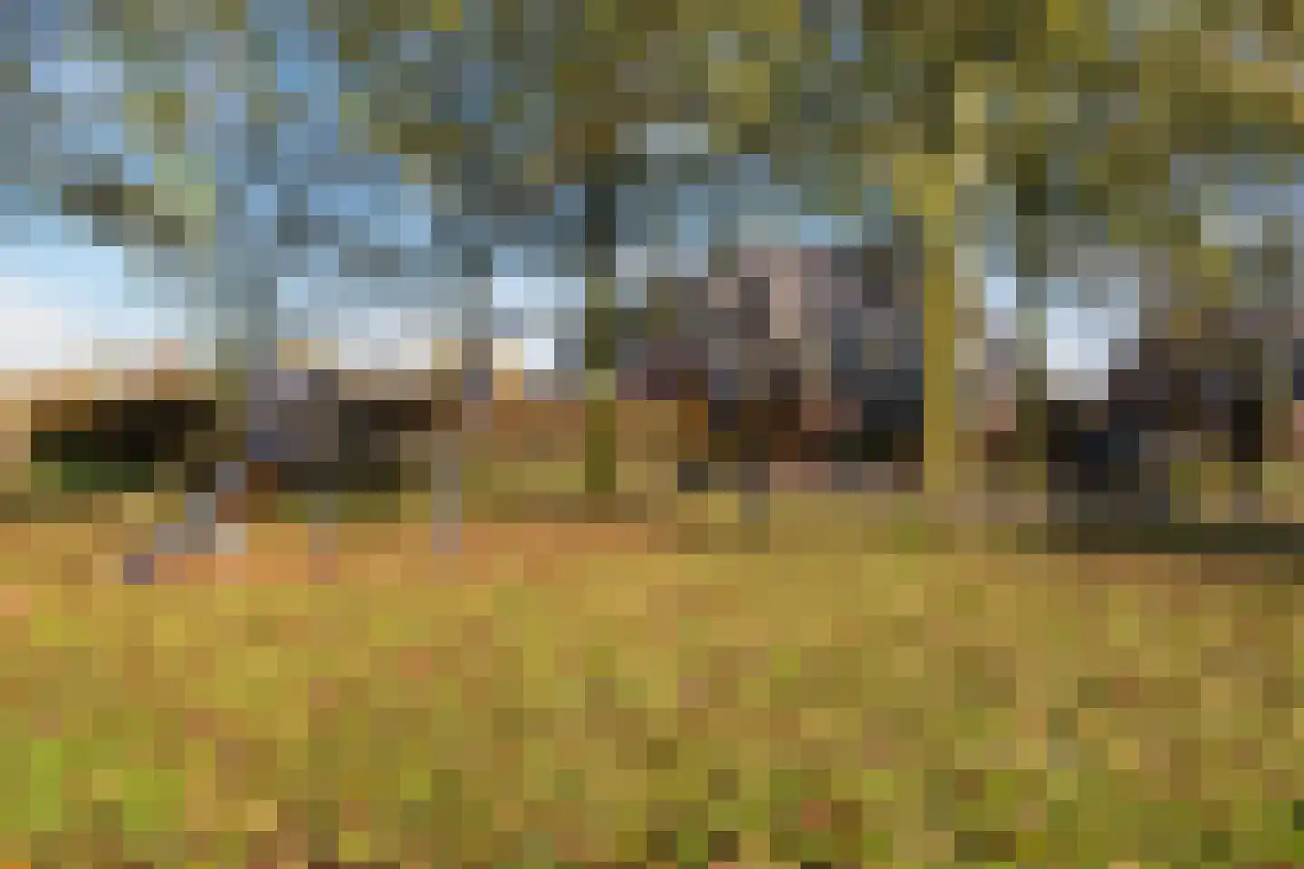 Schoolstraat 44 Ederveen thumbnail 50