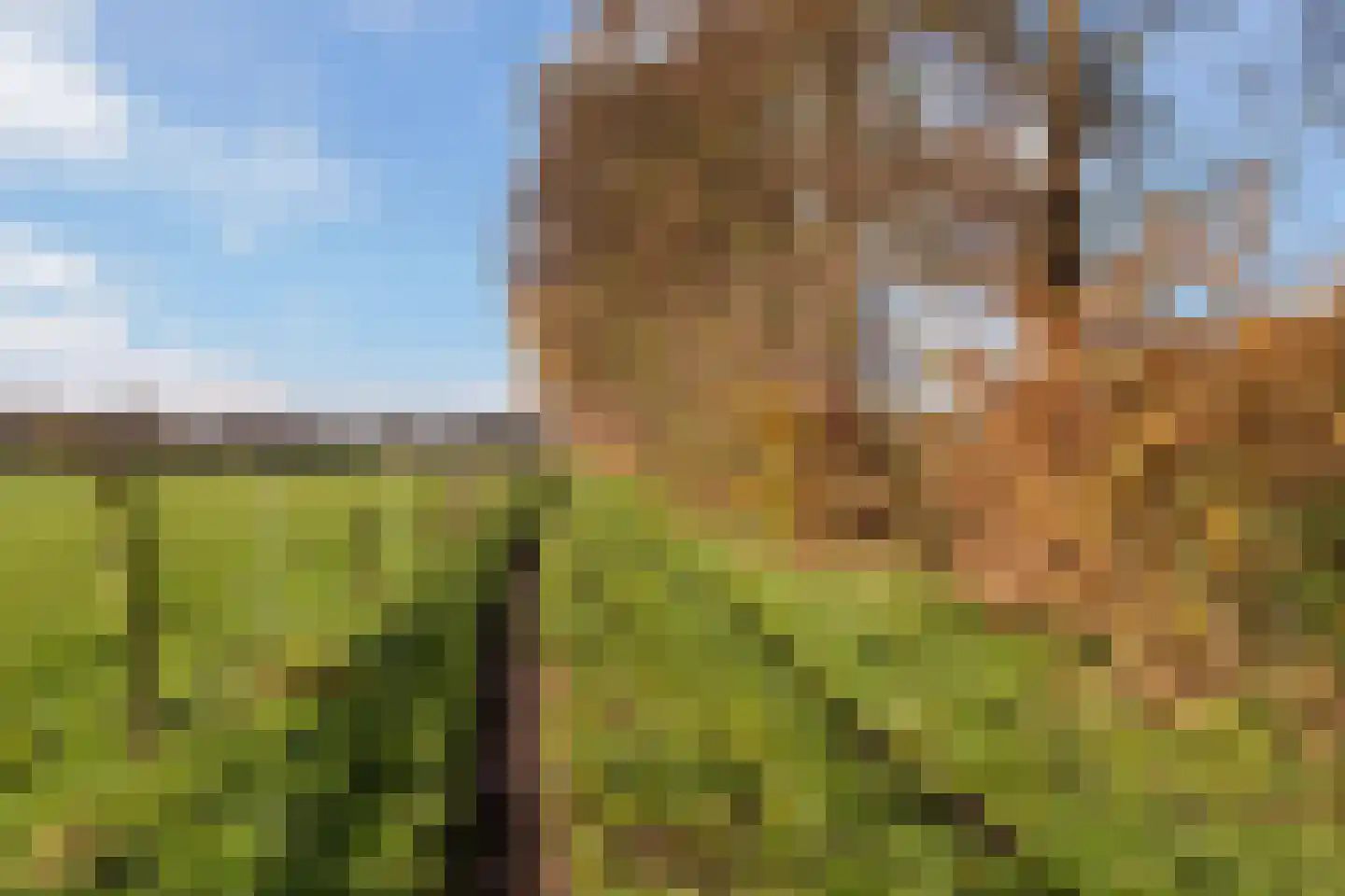 Schoolstraat 44 Ederveen thumbnail 52
