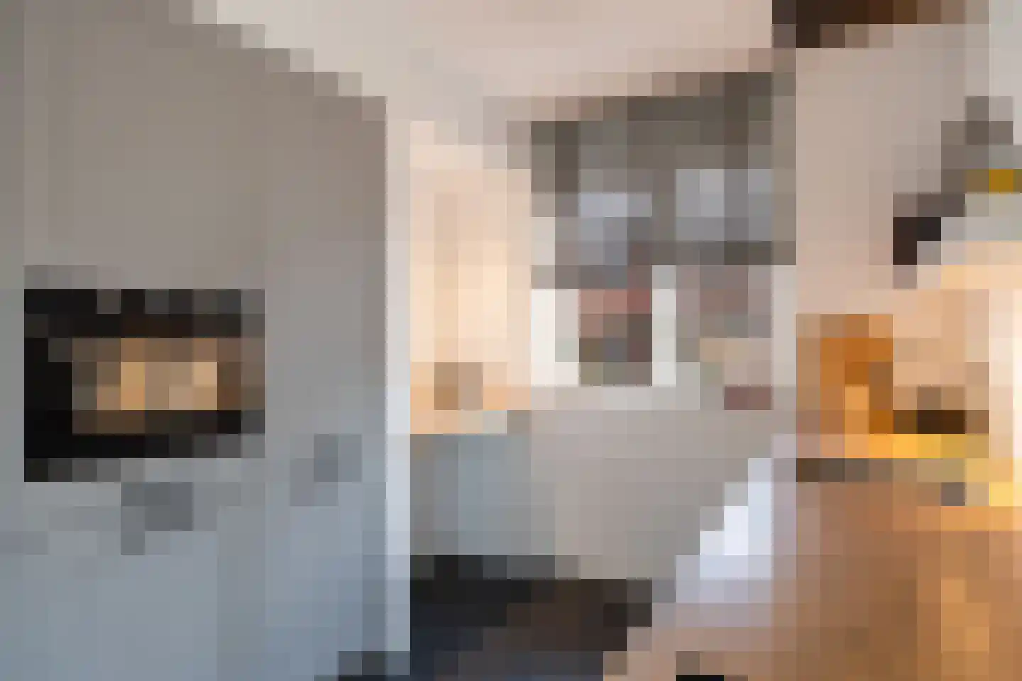 Schoolstraat 44 Ederveen thumbnail 7