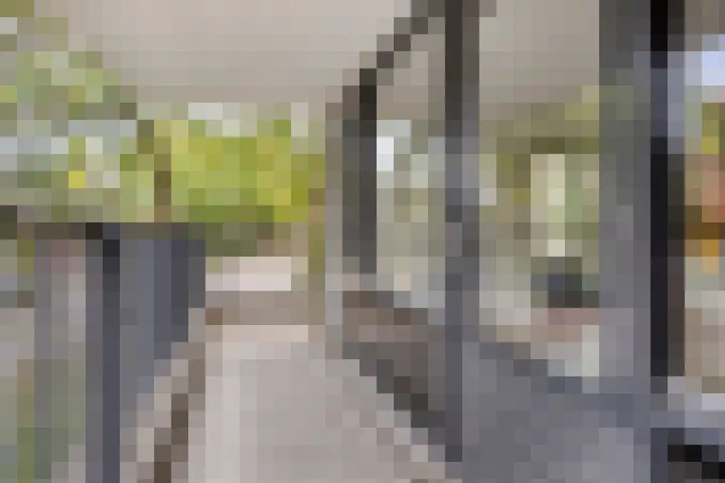 Schoolstraat 47 Tilburg thumbnail 10
