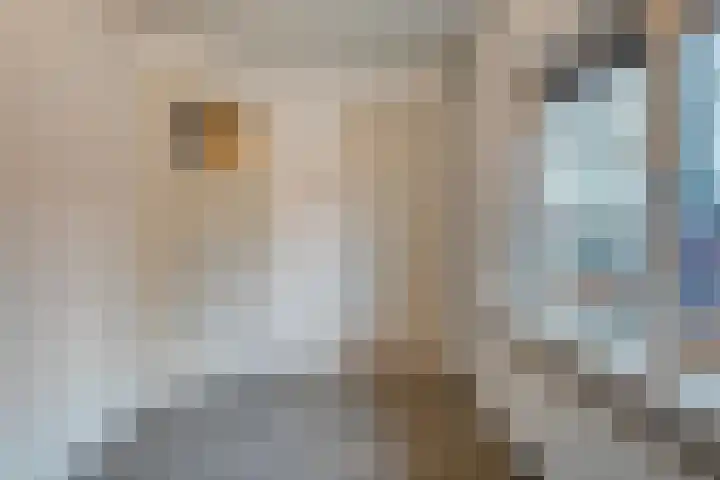 Schoolstraat 5 Heino thumbnail 17