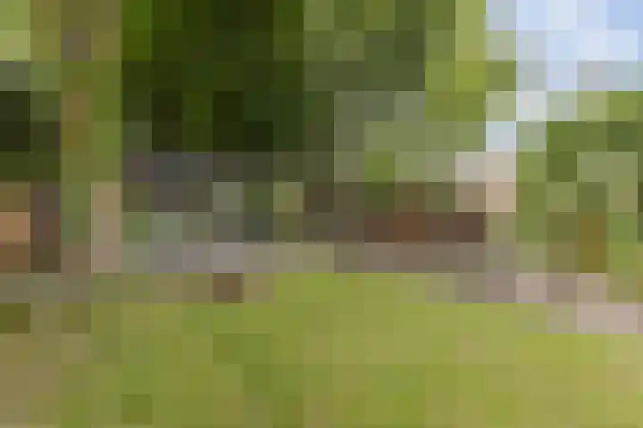 Schoolstraat 5 Veendam thumbnail 39