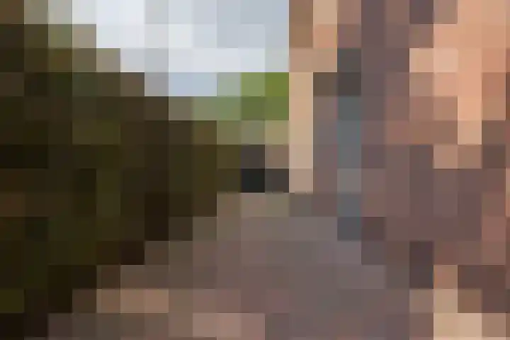 Schoolstraat 5 Veendam thumbnail 8