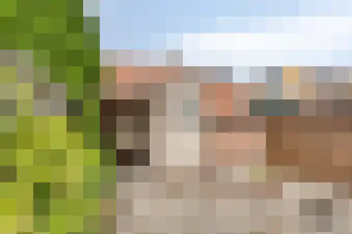 Schoolstraat 5 Wolvega thumbnail 14