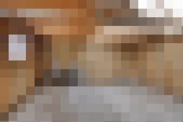 Schoolstraat 5 Wolvega thumbnail 16
