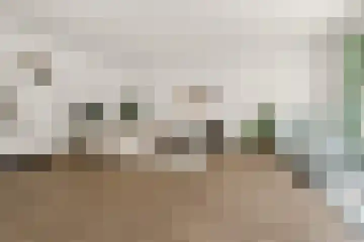 Schoolstraat 57 Arnhem thumbnail 5
