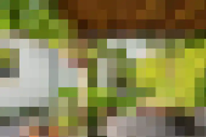 Schoolstraat 6 a Ochten thumbnail 37