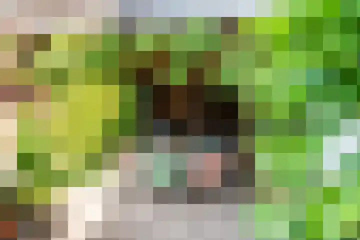 Schoolstraat 6 a Ochten thumbnail 38