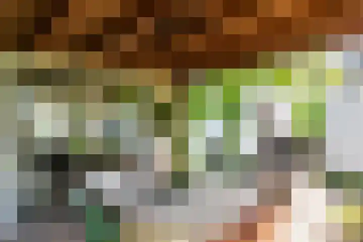 Schoolstraat 6 a Ochten thumbnail 39