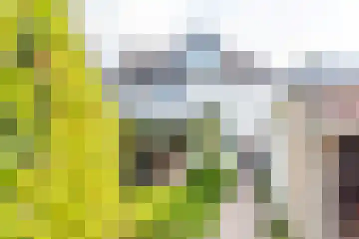 Schoolstraat 6 a Ochten thumbnail 40