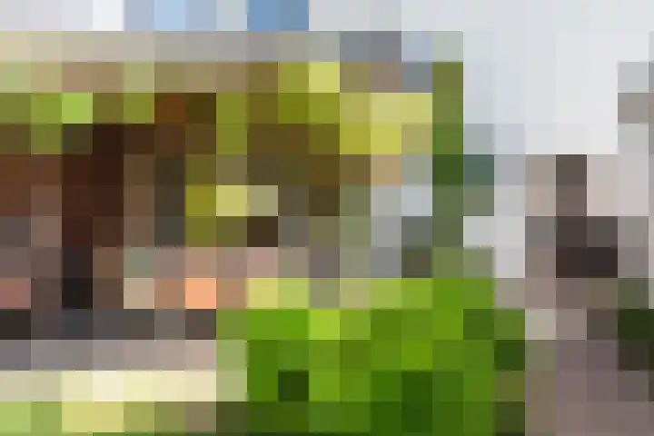 Schoolstraat 6 a Ochten thumbnail 42