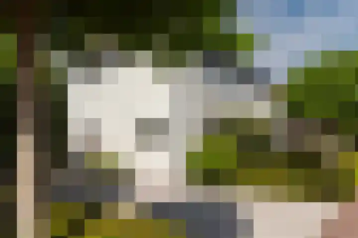 Schoolstraat 6 a Ochten thumbnail 47