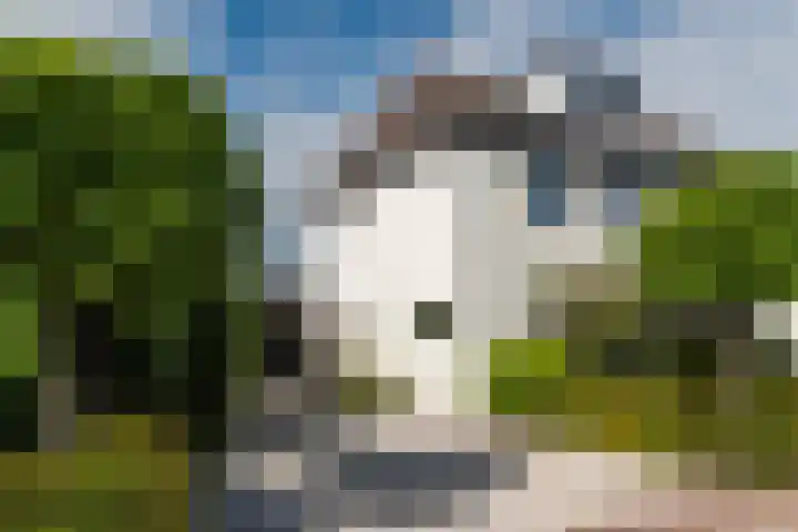 Schoolstraat 6 a Ochten thumbnail 6