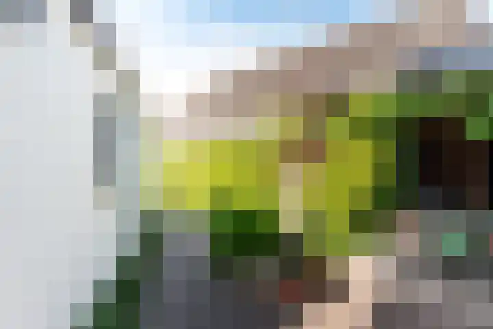 Schoolstraat 6 a Ochten thumbnail 71