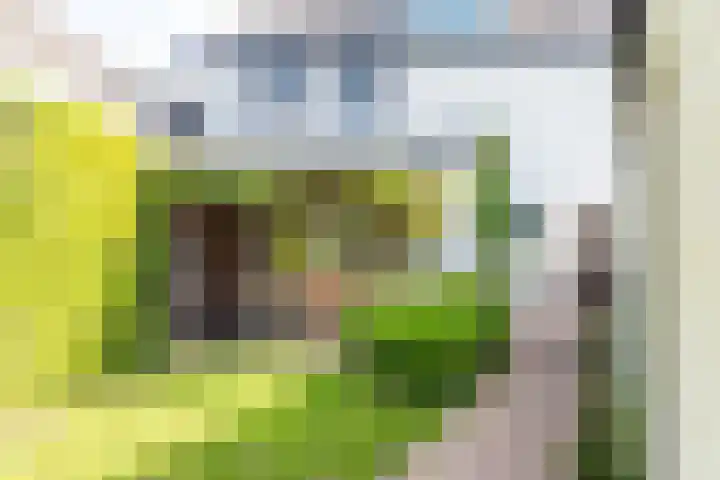 Schoolstraat 6 a Ochten thumbnail 75