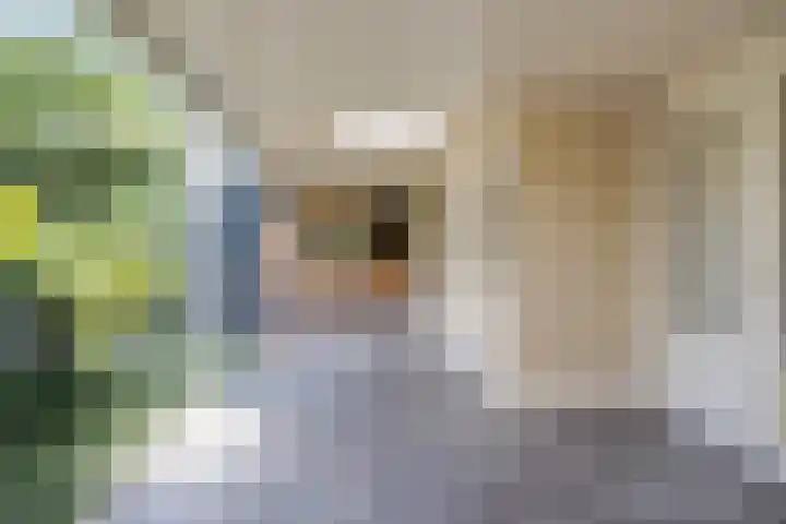 Schoolstraat 7 Nuland thumbnail 30