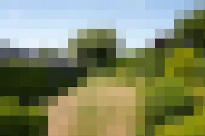 Schoolstraat 7 Nuland thumbnail 31