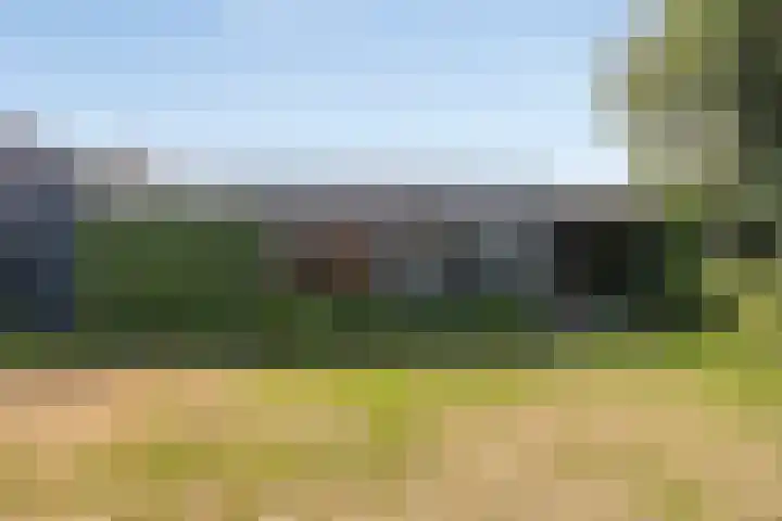 Schoolstraat 7 Nuland thumbnail 32