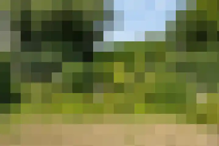 Schoolstraat 7 Nuland thumbnail 34