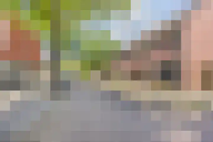 Schoolstraat 72 Zwolle thumbnail 34