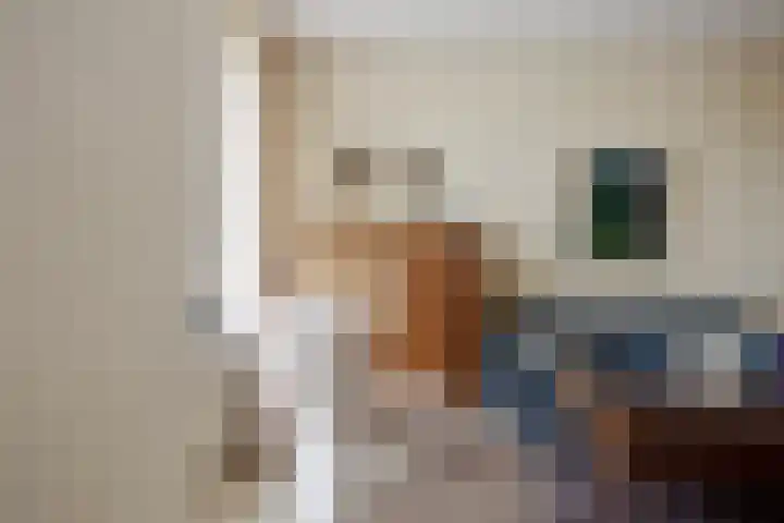 Schoolstraat 8 Mierlo thumbnail 10