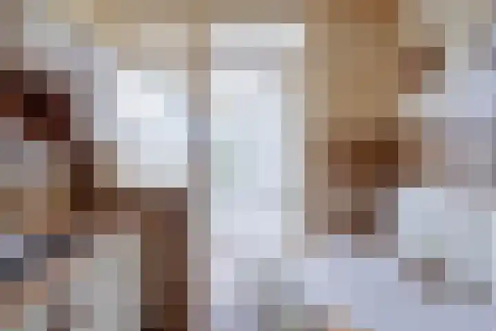 Schoolstraat 8 Mierlo thumbnail 22