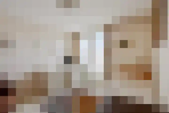 Schoolstraat 8 Mierlo thumbnail 27