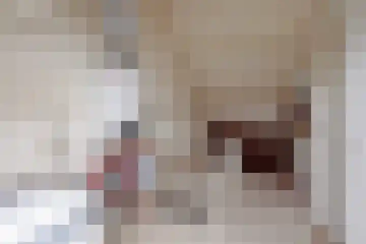 Schoolstraat 8 Mierlo thumbnail 34