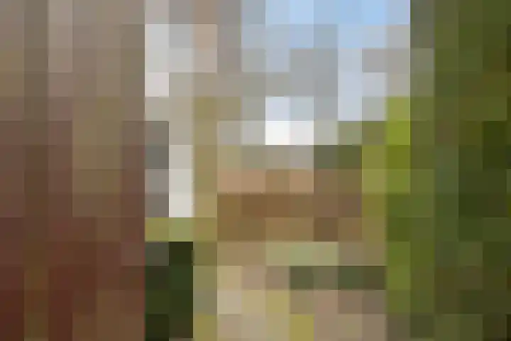 Schoolstraat 8 Mierlo thumbnail 38