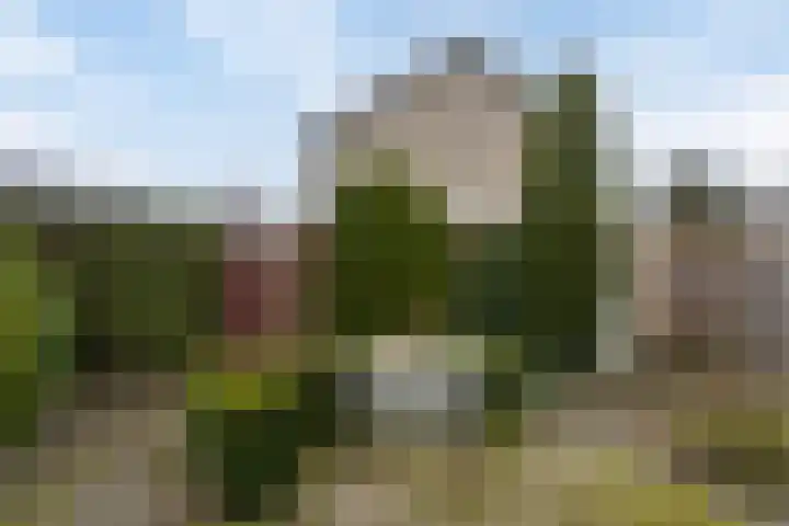 Schoolstraat 8 Mierlo thumbnail 42