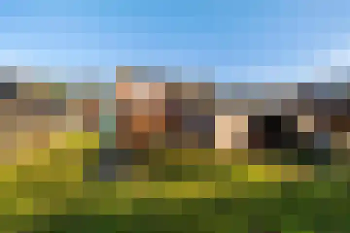 Schoolstraat 8 Schoonloo thumbnail 27