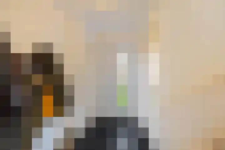 Schoolstraat 8 Schoonloo thumbnail 4
