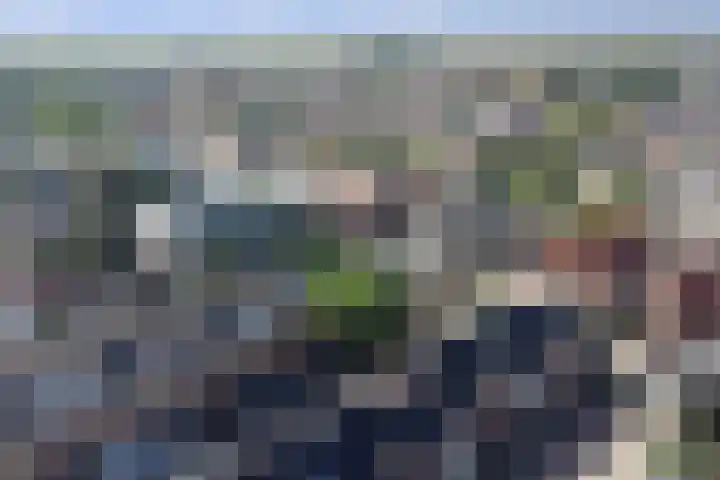 Schoolstraat 8 Strijen thumbnail 30