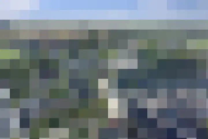 Schoolstraat 8 Strijen thumbnail 33