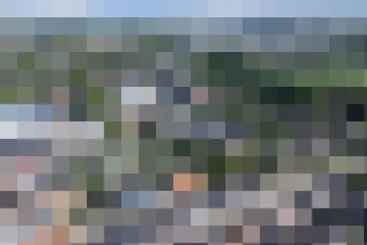 Schoolstraat 8 Strijen thumbnail 34