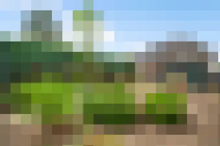 Schoolstraat 9 Swalmen thumbnail 18