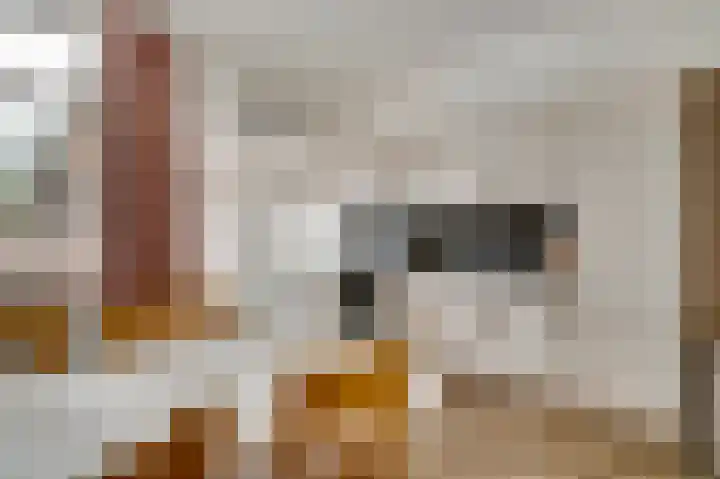 Schoolstraat 9 Swalmen thumbnail 9