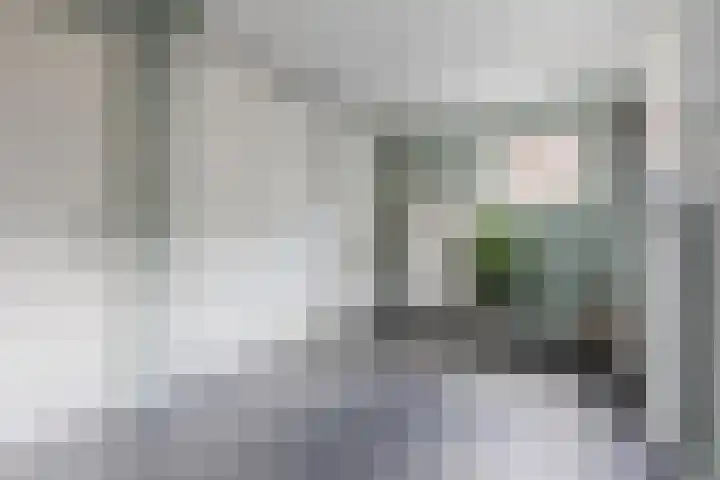Schoolstraat 9 Vogelwaarde thumbnail 13