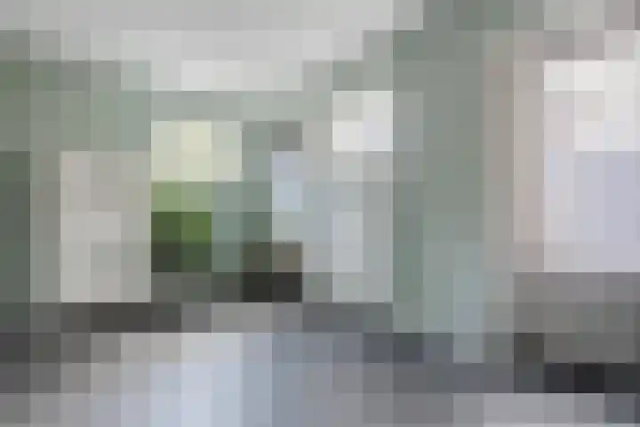 Schoolstraat 9 Vogelwaarde thumbnail 14