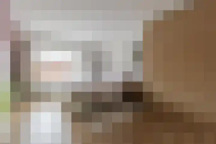 Schoolstraat 9 Vogelwaarde thumbnail 16