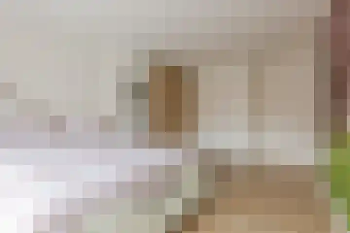 Schoolstraat 9 Vogelwaarde thumbnail 17