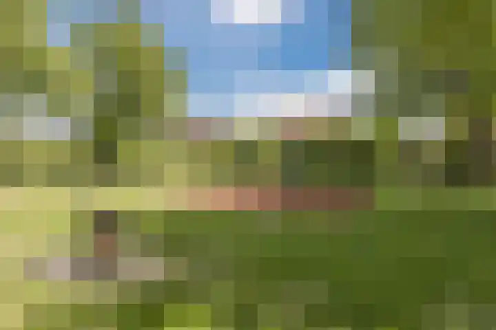 Schoolstraat 9 Vogelwaarde thumbnail 34